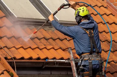Démoussage et hydrofuge de toiture à Lanvénégen